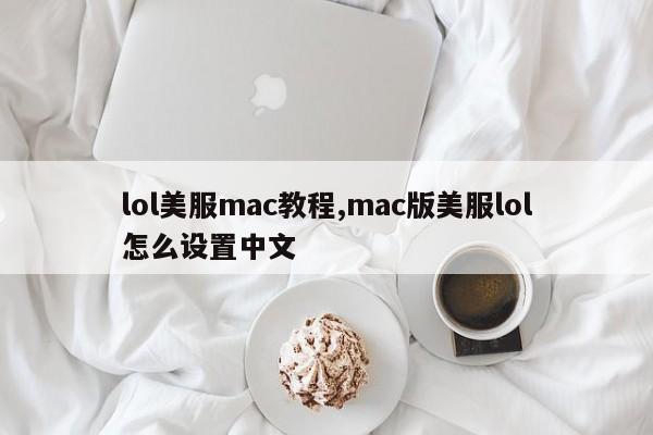 lol美服mac教程,mac版美服lol怎么设置中文